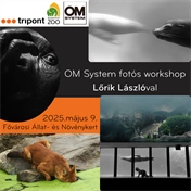 BETELT! - OM System fotós workshop Lőrik Lászlóval az Állatkertben - 2025. május 9.