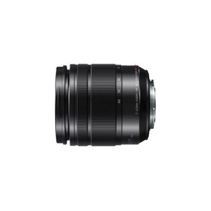 PANASONIC Lumix G Vario 12-60mm f/3,5-5,6 ASPH Power O.I.S. fekete