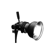 PROFOTO ProHead plus UV 250W