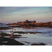 Panasonic Lumix G97 MILC fényképezőgép + 12-60mm f/3.5-5.6 Objektív kit (Fekete)