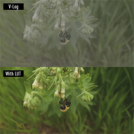 Panasonic Lumix G G9II váz