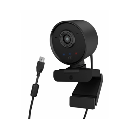 RAIDSONIC Icy Box Full HD webcam with remote control