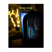 RAIDSONIC Icy Box M.2 SSD Heat Sink for PlayStation® 5