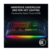 RAZER BlackWidow V4 Pro - Green Switch - US