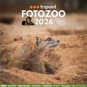 Részvételi jegy - FOTOZOO NAP - 2026. május 23.