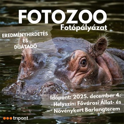 Részvételi jegy - FOTOZOO díjátadó 2025.12.04.