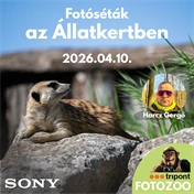 Részvételi jegy - Fotóséta az Állatkertben Harcz Gergővel - 2026. április 10. - BETELT!