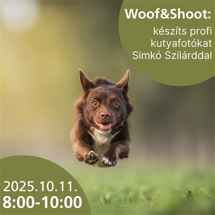 Részvételi jegy - Woof & Shoot: készíts profi kutyafotókat Simkó Szilárddal - 2025.10.11. 8:00-10:00