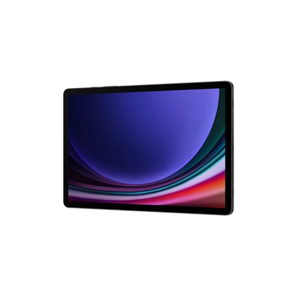 SAMSUNG Galaxy Tab S9 5G 12GB 256GB szürke