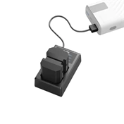 SMALLRIG NP-FZ100 Camera Battery and Charger Kit 3824