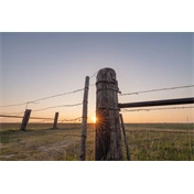 Sigma 14mm f/1.4 DG (Art) Leica-L objektív