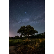 Sigma 14mm f/1.4 DG (Art) Sony-E objektív