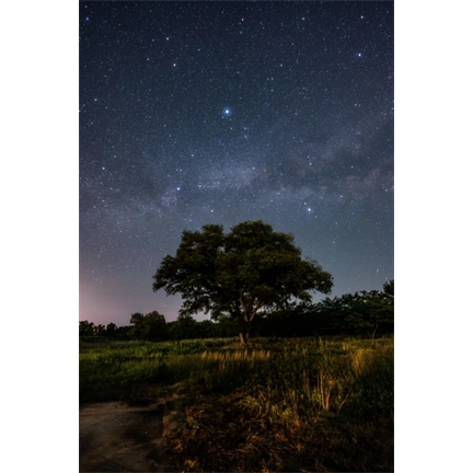 Sigma 14mm f/1.4 DG (Art) Sony-E objektív