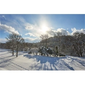 Sigma 15mm f/1.4 DC (Contemporary) Canon-RF objektív