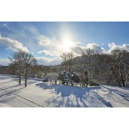 Sigma 15mm f/1.4 DC (Contemporary) Canon-RF objektív