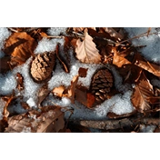 Sigma 16-300mm f/3.5-6.3 DC DN (C) objektív (Sony E)