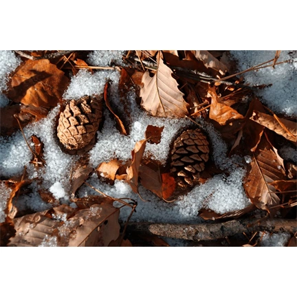 Sigma 16-300mm f/3.5-6.3 DC DN (C) objektív (Sony E)