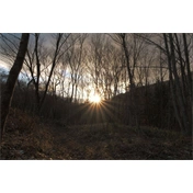 Sigma 16-300mm f/3.5-6.3 DC DN (C) objektív (Sony E)