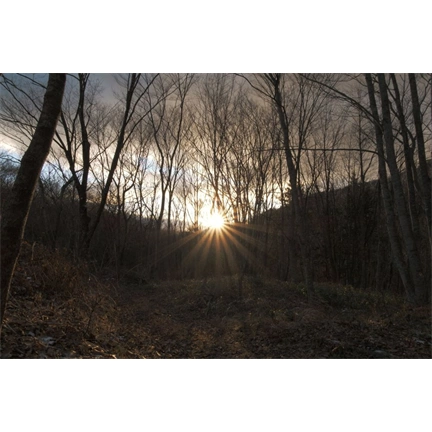 Sigma 16-300mm f/3.5-6.3 DC DN (C) objektív (Sony E)