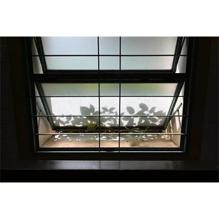 Sigma 16mm f/1.4 DC DN (C) Canon RF objektív