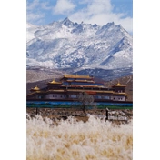 Sigma 200mm f/2 DG (S) objektív (Leica-L)