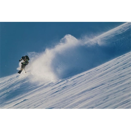 Sigma 300-600mm f/4 DG DN OS (S) objektív (Sony E)