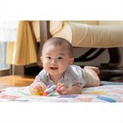 TAMRON 25-200mm F/2.8-5.6 DiIII VXD G2 Sony