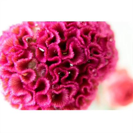 TAMRON 25-200mm F/2.8-5.6 DiIII VXD G2 Sony