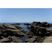 TAMRON 25-200mm F/2.8-5.6 DiIII VXD G2 Sony