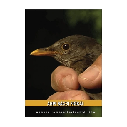 Természetfilm.hu Árpi Bácsi fiókái