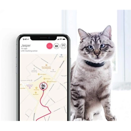 Tractive GPS CAT - Macska nyomkövető
