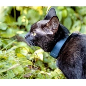 Tractive GPS CAT - Macska nyomkövető