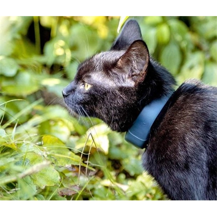 Tractive GPS CAT - Macska nyomkövető