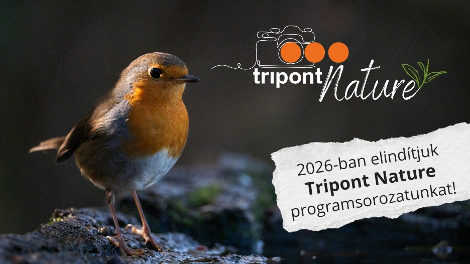 Tripont Nature: új programsorozat a hazai természetfotós közösségnek