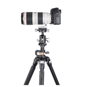 VANGUARD VEO BH-160S gömbfej