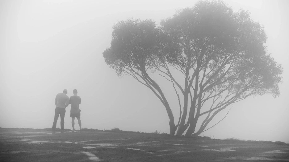 Végtelen utak és tájak mentén - Melbourne-től a Gold Coast-ig a Nikon Z 24-70 f/2.8 S II objektíven keresztül