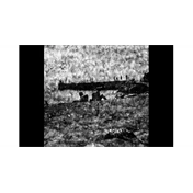 WASHI W - 25 ISO/15° Fekete-Fehér Film (120)