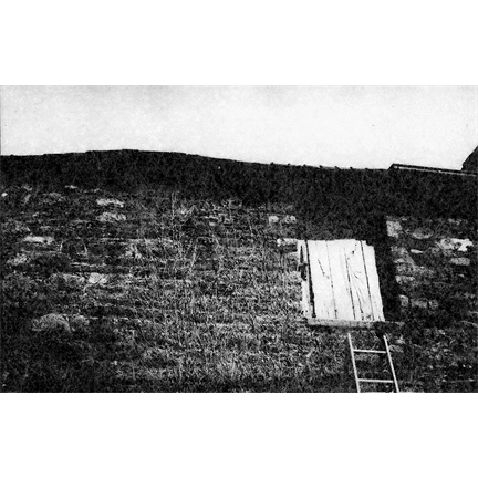 WASHI W - 25 ISO/15° Fekete-Fehér Film (135/16)