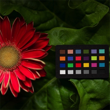 CALIBRITE ColorChecker Classic Nano