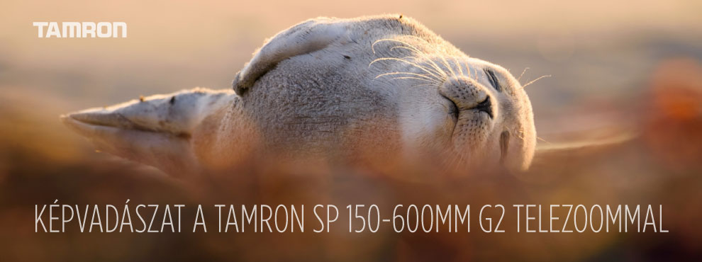 Tamron SP 150-600mm G2 telezoom-objektívvel készült fotó egy őzről.