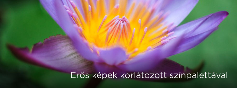 Korlátozott színpaletta használata fotózáskor.