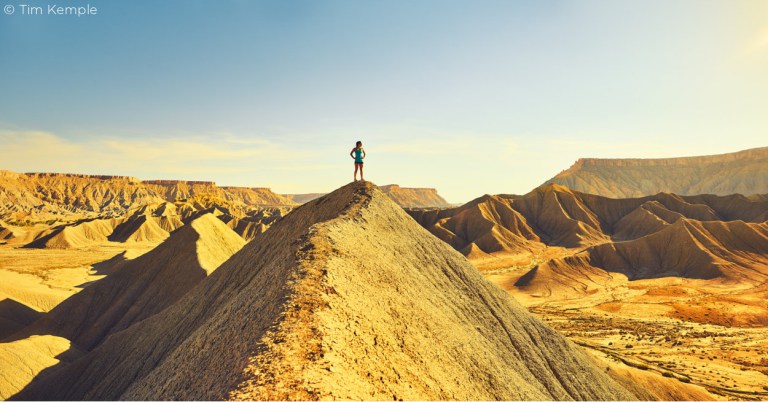 phase one xf 100MP tim kemple eastman