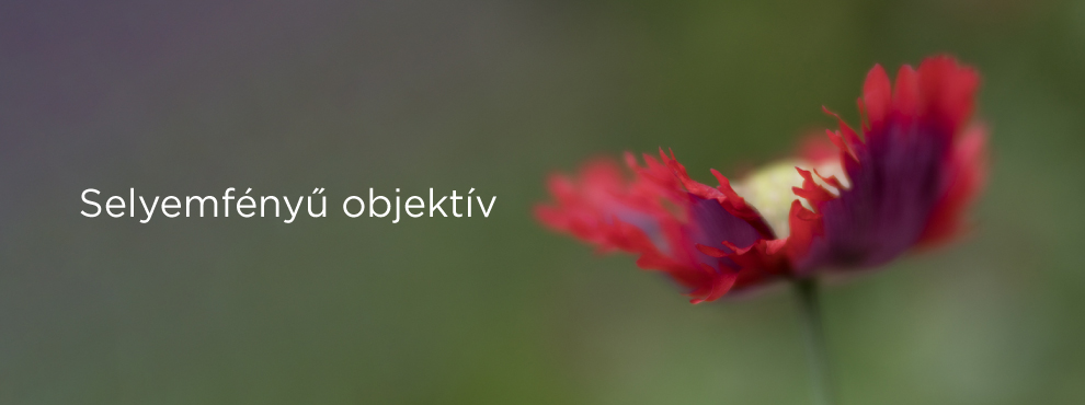 lensbaby velvet 85
